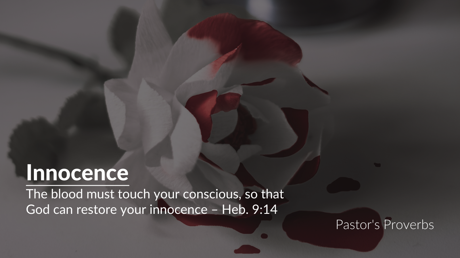 Innocence